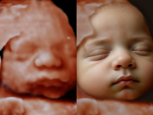 Essentials 8K Image (Same Day Delivery)